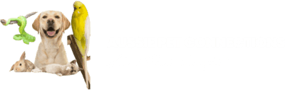 Aussie Pet Connections